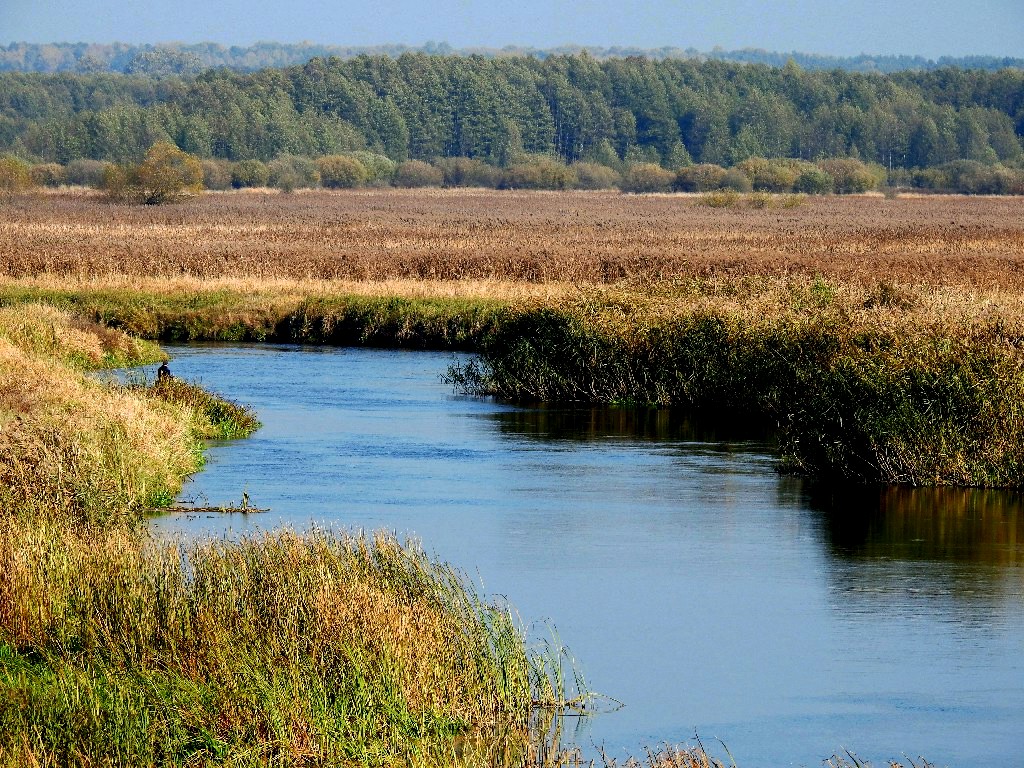 Nasze Podlasie