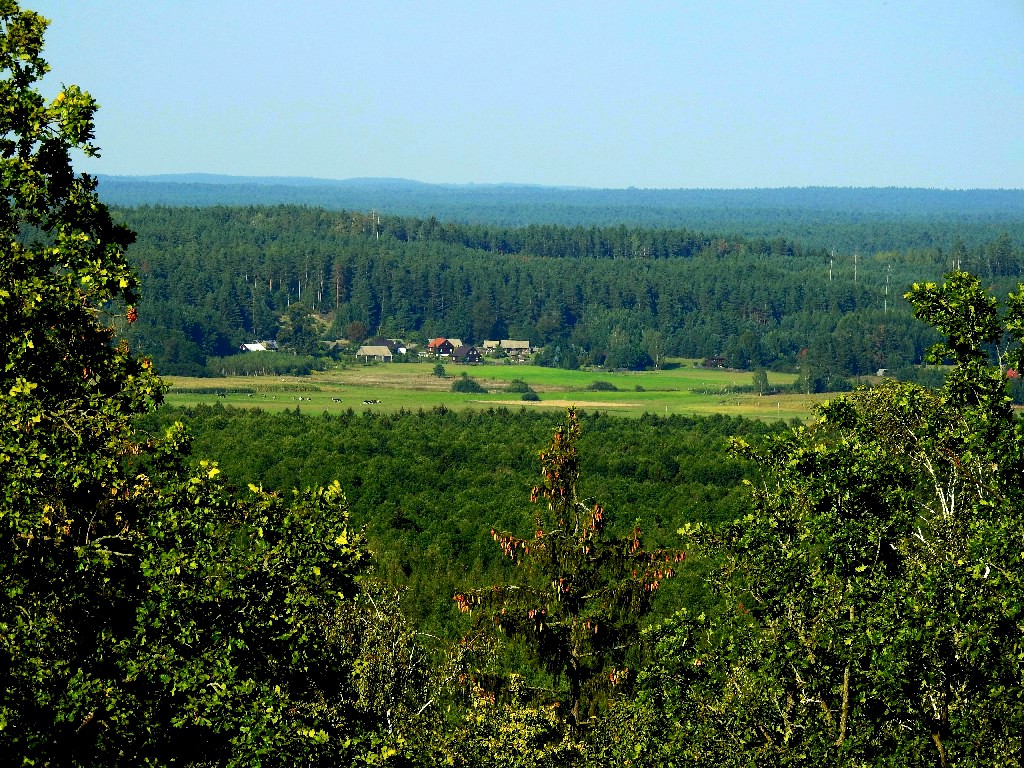 Nasze Podlasie