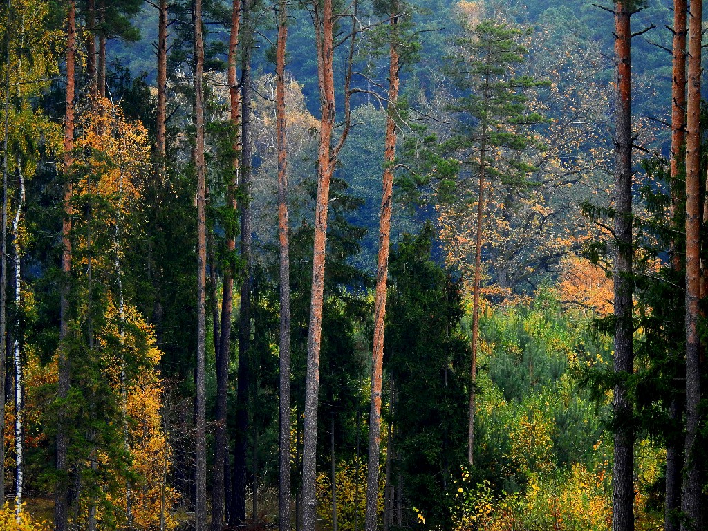 Nasze Podlasie