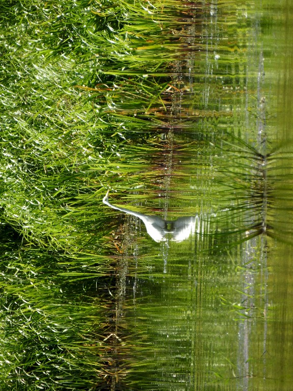 Nasze Podlasie