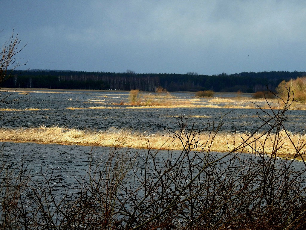 Nasze Podlasie